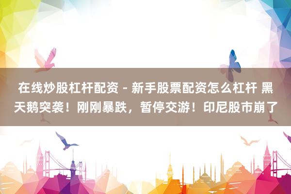 在线炒股杠杆配资 - 新手股票配资怎么杠杆 黑天鹅突袭！刚刚暴跌，暂停交游！印尼股市崩了