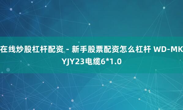 在线炒股杠杆配资 - 新手股票配资怎么杠杆 WD-MKYJY23电缆6*1.0