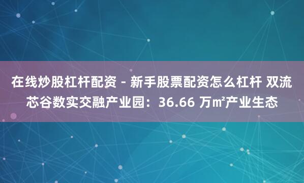 在线炒股杠杆配资 - 新手股票配资怎么杠杆 双流芯谷数实交融产业园：36.66 万㎡产业生态