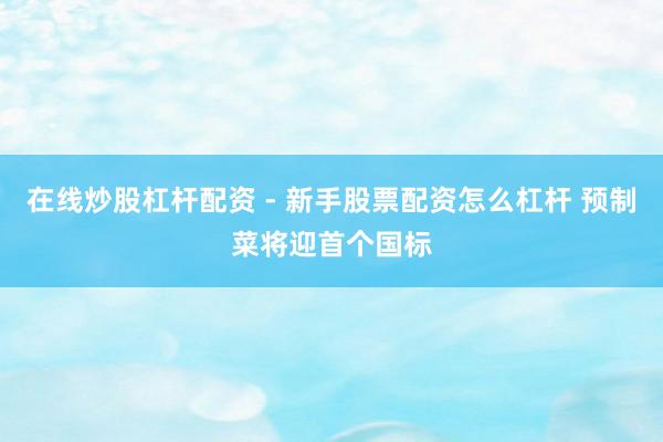 在线炒股杠杆配资 - 新手股票配资怎么杠杆 预制菜将迎首个国标