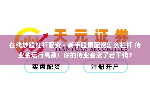 在线炒股杠杆配资 - 新手股票配资怎么杠杆 待业金运行高涨！你的待业金涨了若干钱？