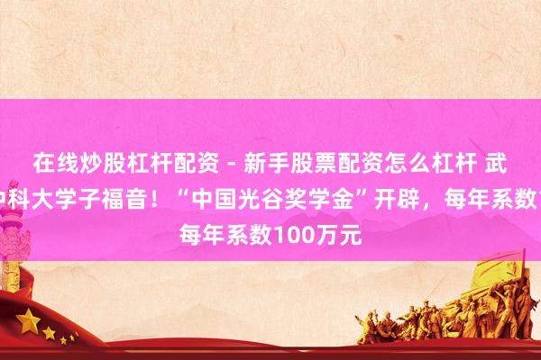 在线炒股杠杆配资 - 新手股票配资怎么杠杆 武大、华中科大学子福音！“中国光谷奖学金”开辟，每年系数100万元