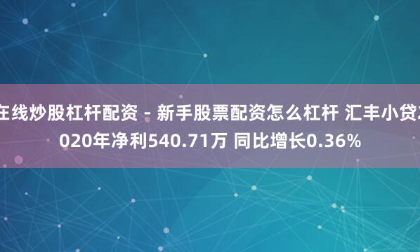 在线炒股杠杆配资 - 新手股票配资怎么杠杆 汇丰小贷2020年净利540.71万 同比增长0.36%