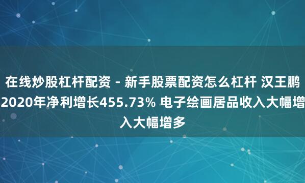 在线炒股杠杆配资 - 新手股票配资怎么杠杆 汉王鹏泰2020年净利增长455.73% 电子绘画居品收入大幅增多