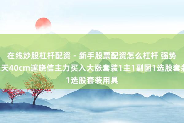 在线炒股杠杆配资 - 新手股票配资怎么杠杆 强势启动2天40cm邃晓信主力买入大涨套装1主1副图1选股套装用具