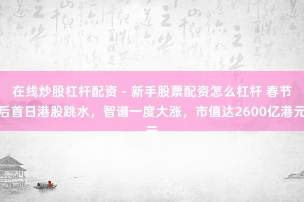 在线炒股杠杆配资 - 新手股票配资怎么杠杆 春节后首日港股跳水，智谱一度大涨，市值达2600亿港元