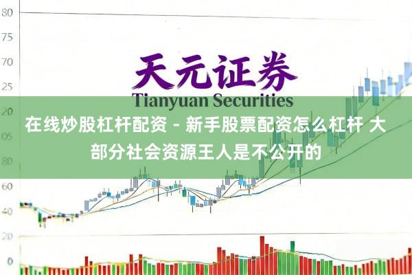 在线炒股杠杆配资 - 新手股票配资怎么杠杆 大部分社会资源王人是不公开的