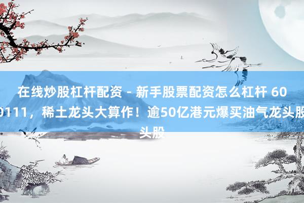 在线炒股杠杆配资 - 新手股票配资怎么杠杆 600111，稀土龙头大算作！逾50亿港元爆买油气龙头股