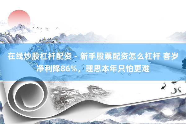 在线炒股杠杆配资 - 新手股票配资怎么杠杆 客岁净利降86%，理思本年只怕更难