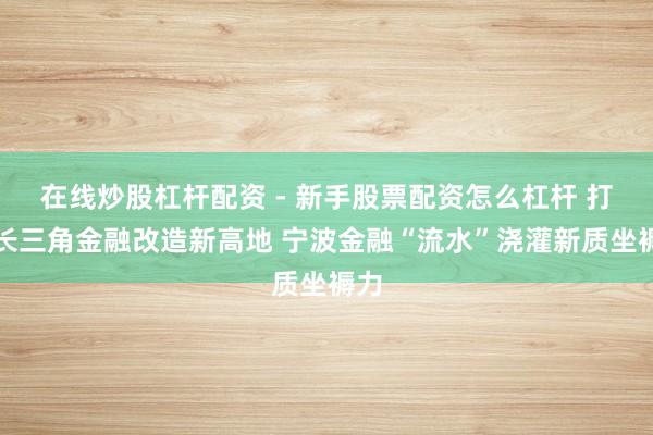 在线炒股杠杆配资 - 新手股票配资怎么杠杆 打造长三角金融改造新高地 宁波金融“流水”浇灌新质坐褥力