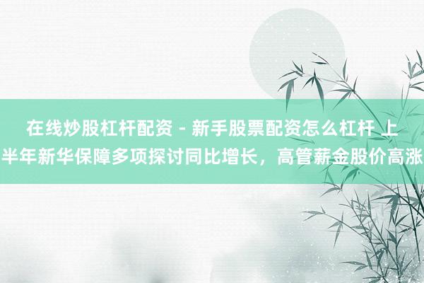 在线炒股杠杆配资 - 新手股票配资怎么杠杆 上半年新华保障多项探讨同比增长，高管薪金股价高涨