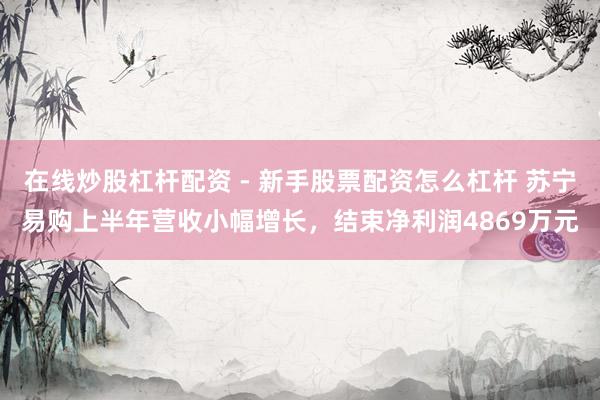 在线炒股杠杆配资 - 新手股票配资怎么杠杆 苏宁易购上半年营收小幅增长，结束净利润4869万元