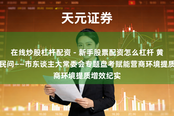 在线炒股杠杆配资 - 新手股票配资怎么杠杆 黄河之畔答民问——市东谈主大常委会专题盘考赋能营商环境提质增效纪实