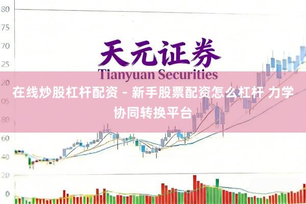 在线炒股杠杆配资 - 新手股票配资怎么杠杆 力学协同转换平台