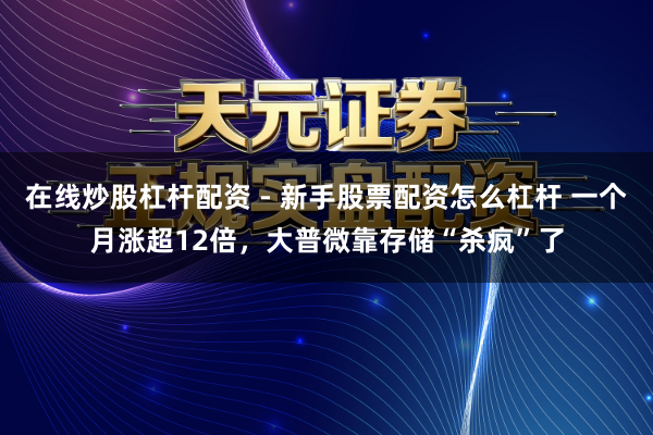 在线炒股杠杆配资 - 新手股票配资怎么杠杆 一个月涨超12倍，大普微靠存储“杀疯”了