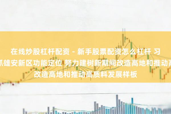 在线炒股杠杆配资 - 新手股票配资怎么杠杆 习近平：紧紧把抓雄安新区功能定位 努力建树新期间改造高地和推动高质料发展样板