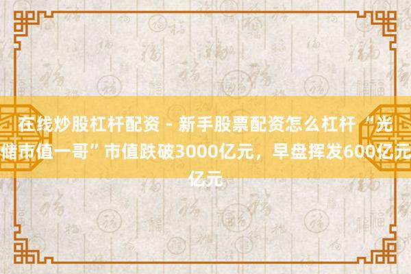 在线炒股杠杆配资 - 新手股票配资怎么杠杆 “光储市值一哥”市值跌破3000亿元，早盘挥发600亿元